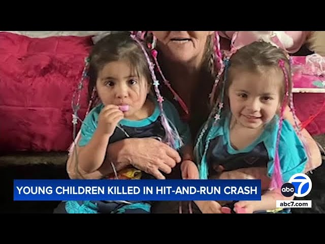 ⁣Family mourns tragic deaths of girls, ages 3 and 4, killed in DUI crash