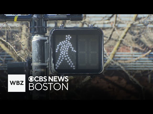 ⁣Boston makes walk signal longer at Forest Hills MBTA stop after man killed by bus