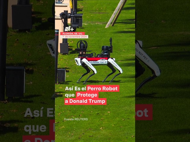 ⁣Un perro robot protege la casa de Donald Trump - N+ #Shorts