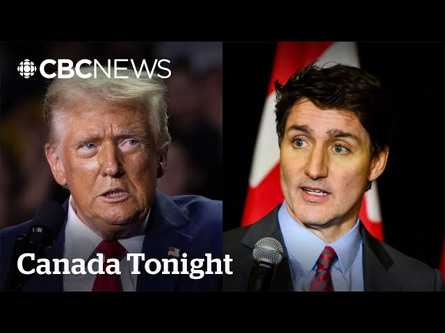 ⁣Canada’s ‘charm offensive’ won't appease Trump tariffs: former minister | Canada Tonight