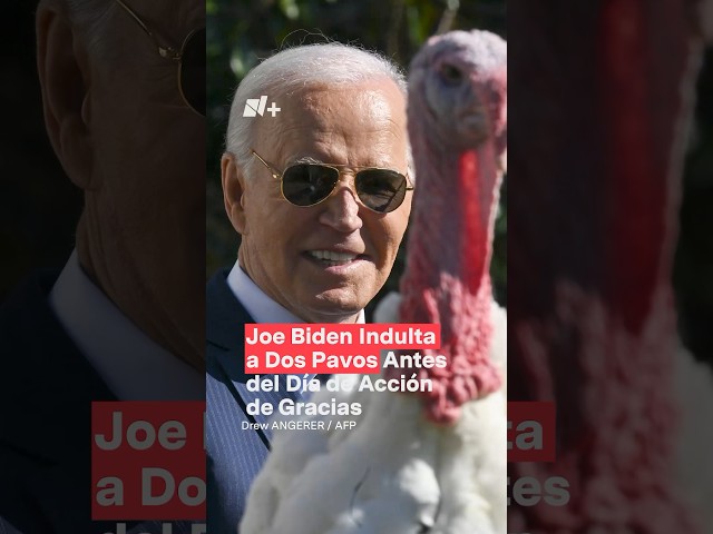 ⁣Joe Biden perdona la vida de dos pavos antes del Día de Acción de Gracias 2024 - N+