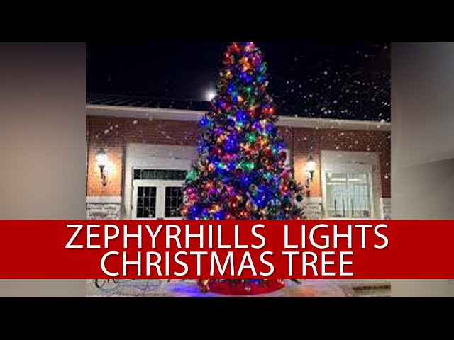 ⁣WATCH LIVE: Zephyrhills lights town Christmas tree