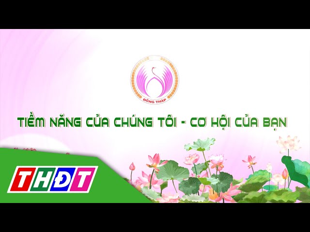 ⁣Đồng Tháp - Tiềm năng của chúng tôi - Cơ hội của bạn | Đồng Tháp tiềm năng và cơ hội đầu tư | THDT