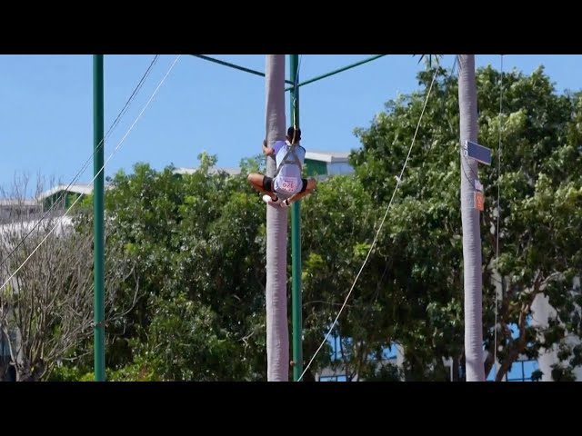 ⁣Hainan sweeps coconut tree climbing titles at traditional sports event