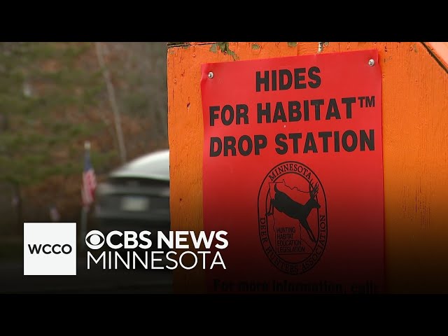 ⁣How Hides for Habitat helps Minnesota hunters