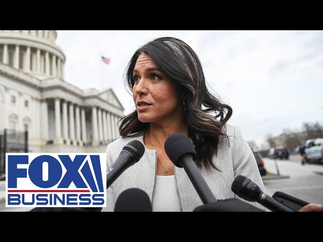 ⁣Tulsi Gabbard-Russia accusations come from 'left-wing loons,' ex-Special Forces officer sa