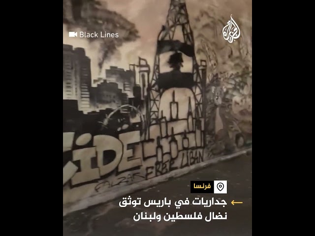 ⁣جداريات في باريس توثق نضال فلسطين ولبنان وتندد بالعدوان الإسرائيلي على غزة