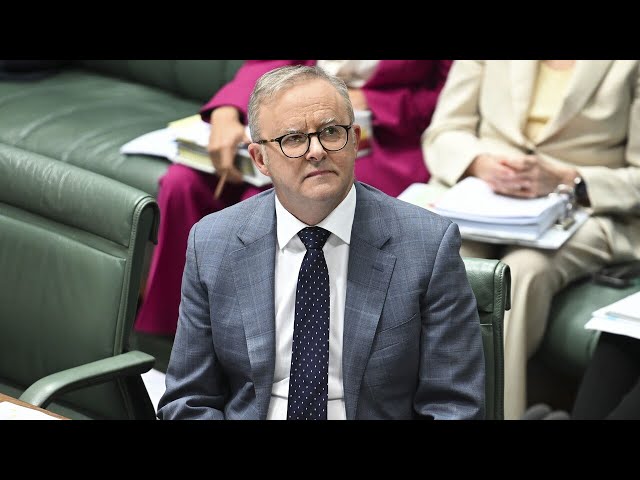 ⁣Albanese government's economic management criticised