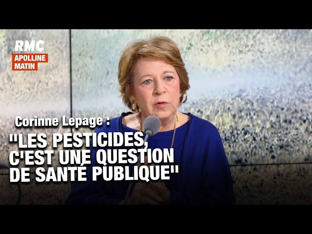 ⁣Pesticides : "Ce n'est pas une question écologique, mais de santé publique"