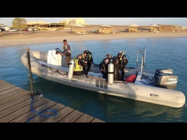 ⁣31 survivors rescued after safari boat sinks off Egypt