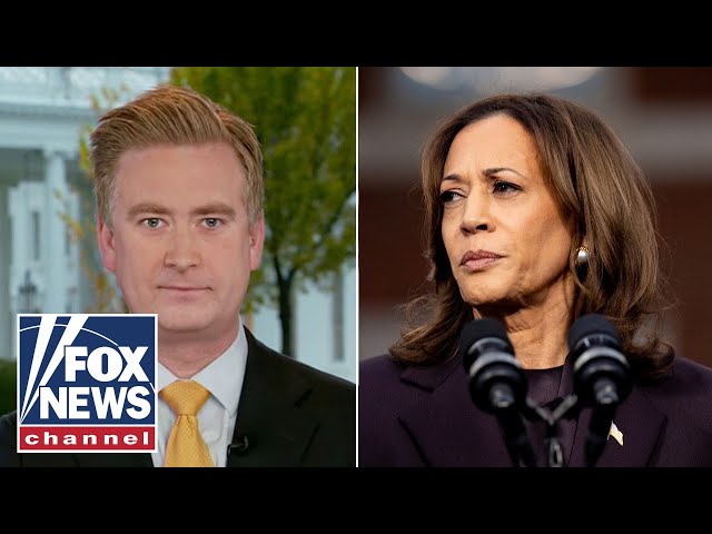 ⁣Peter Doocy on Harris staffers' fury as campaign faces massive debts