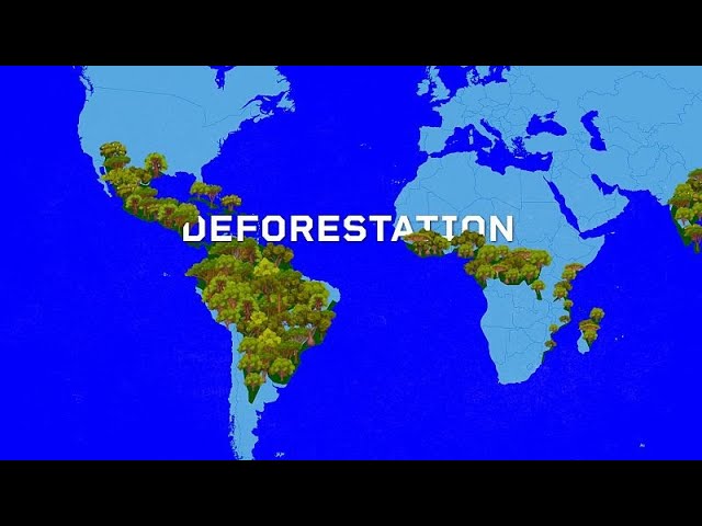 ⁣EU DECODED: Deforestation law’s trade-offs under negotiation