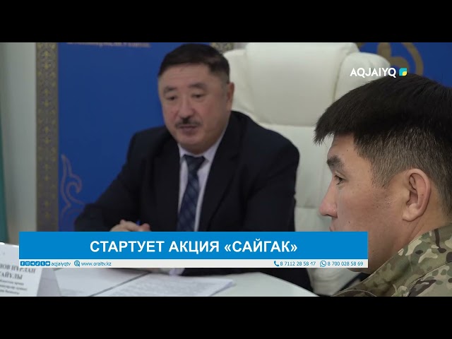 ⁣СТАРТУЕТ АКЦИЯ «САЙГАК»