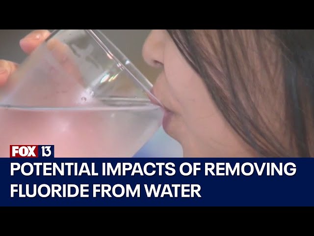 ⁣Potential impacts of removing fluoride from water