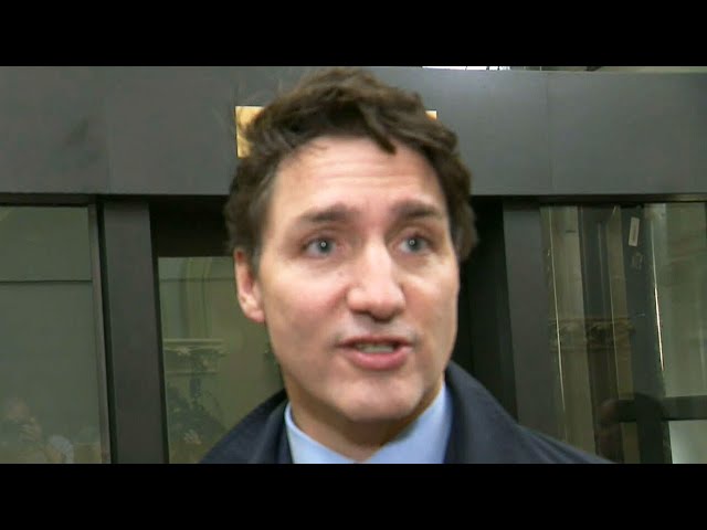 ⁣'Team Canada approach is what works': PM Trudeau responds to Trump's tariffs