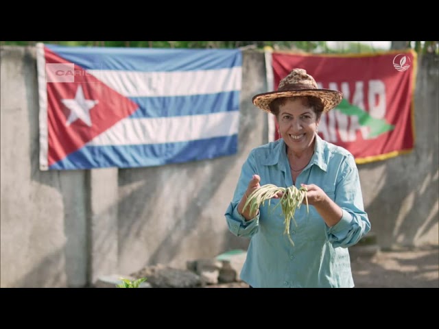 ⁣Cultivar conciencia en Cuba: Uso de plantas más resistentes