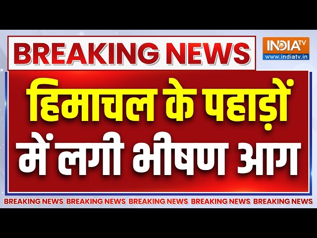 ⁣Himachal Forest Fire Update : हिमाचल के पहाड़ों में लगी भीषण आग, लाखों का नुकसान | Kullu | Manali