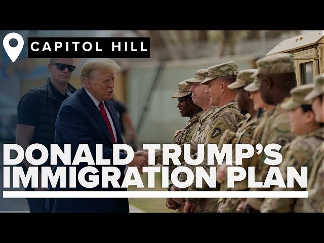 ⁣How Trump will use the military to combat illegal immigration