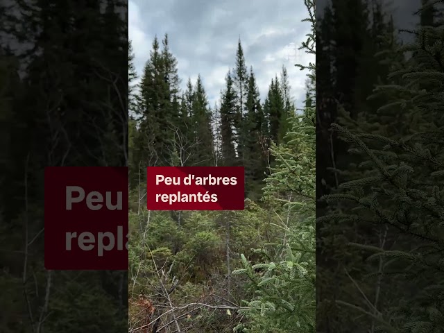 ⁣Une première tempête de neige en Abitibi-Témiscamingue | Vidéojournal