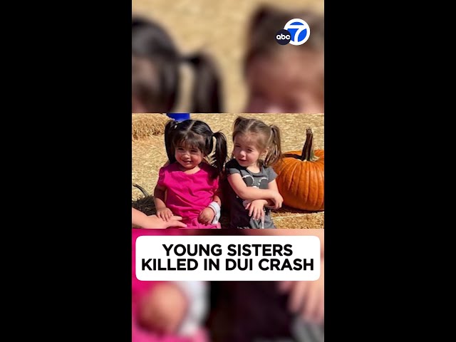 ⁣Young sisters killed in DUI crash