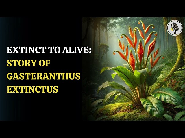 ⁣Extinct to Alive: The Story of Gasteranthus Extinctus | WION Podcast