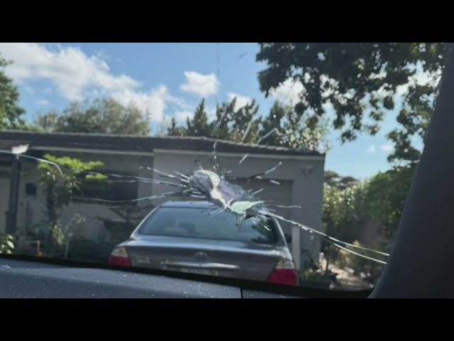 ⁣Woman shot in neck on I-95 in Miami-Dade tells attorney she was "caught in crossfire"