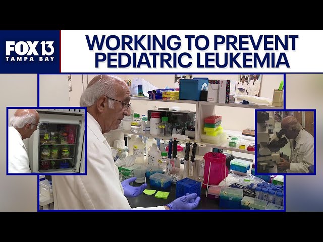 ⁣Tampa doctor conducts research to help prevent pediatric leukemia