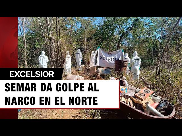 ⁣Semar da golpe a ‘Los Chapitos’ y ‘Los Mayos’ en Sinaloa y Durango