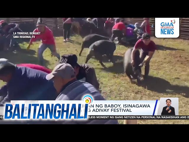 ⁣Tradisyong hulihan ng baboy, isinagawa sa pagdiriwang ng Adivay Festival | Balitanghali