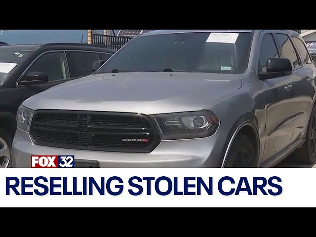 ⁣Thieves use cloned VINs to resell stolen cars, Illinois police say