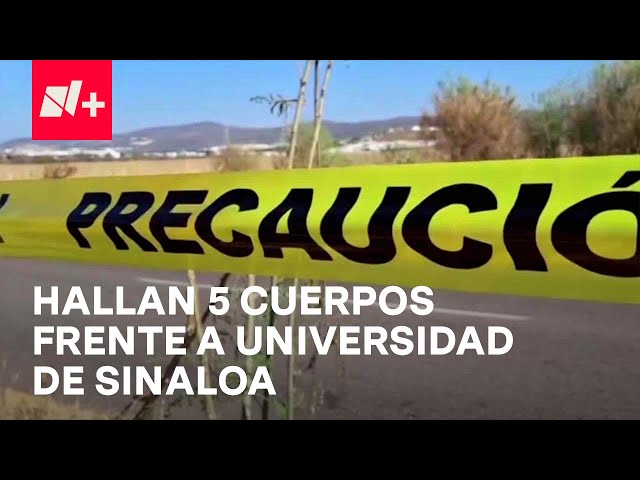 ⁣Violencia en Sinaloa: Queman tráileres y hallan cuerpos frente a la Universidad Autónoma de Sinaloa