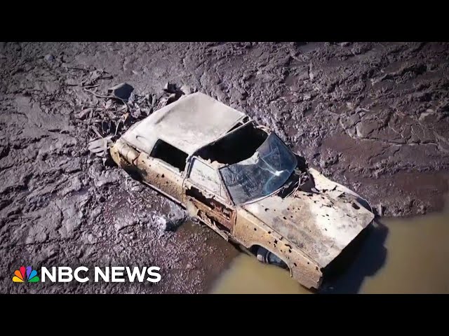 ⁣Vehicle and remains found in Georgia pond 40 years after couple goes missing