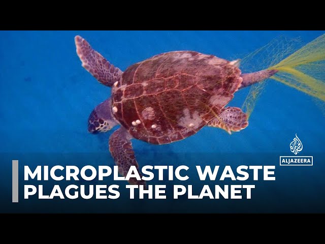 ⁣Combating plastic waste in Greece: Microplastic waste plagues the planet