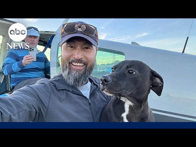 ⁣Beloved animal rescue pilot dies in crash, 2 dogs survive