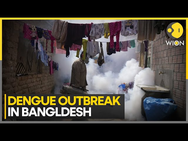 ⁣Bangladesh Dengue Outbreak: 10 Dead, 999 Admitted to Hospital in 24 Hours | World News | WION