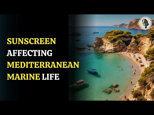 ⁣Sunscreen Affecting Mediterranean Marine Life | WION Podcast