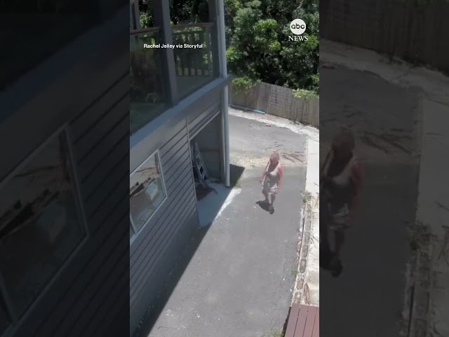 ⁣Enormous snake swings down from above as Australian woman opens her garage door #snakes #australia