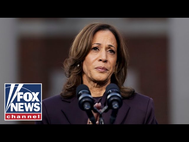 ⁣‘BULLS---‘: Harris campaign blames bad questions for interview snafus