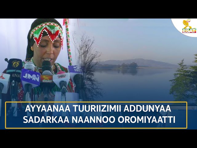 ⁣Ethiopia - Esat Qophii Addaa AYYAANAA TUURIIZIMII  SADARKAA NAANNOO OROMIYAATTI November 27 2024