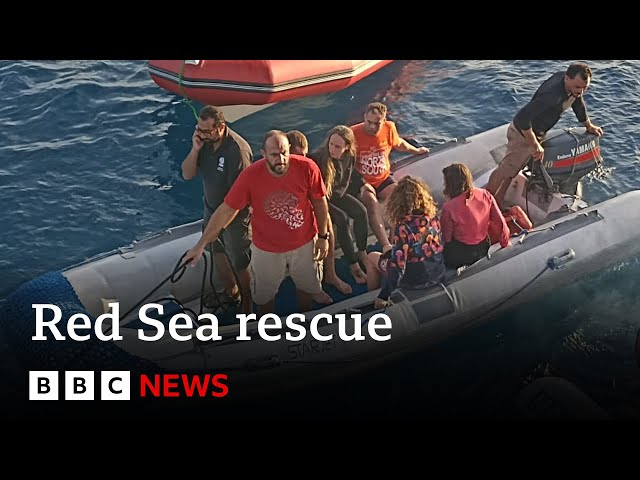 ⁣Five survivors found after Red Sea tourist boat sinks | BBC News