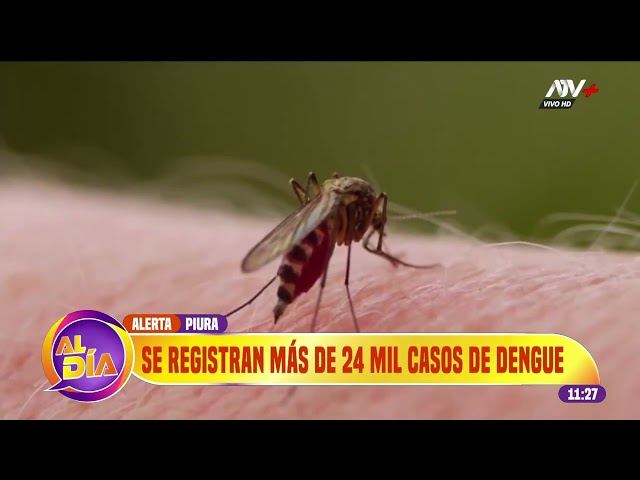 ⁣Piura: Se registran más de 24 mil casos de dengue