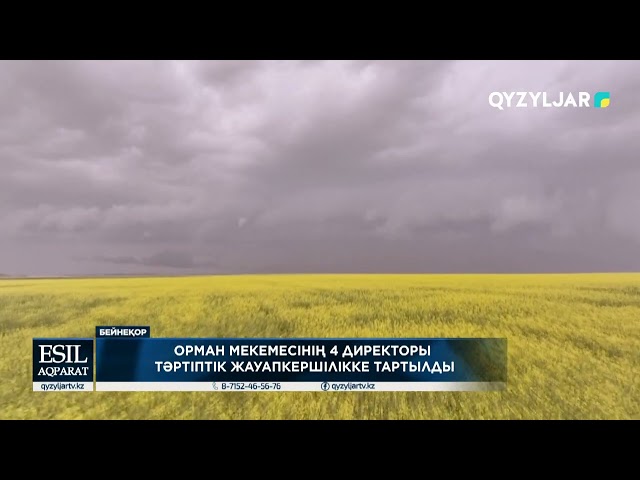 ⁣Орман мекемесінің заң бұзған 4 директоры тәртіптік жауапкершілікке тартылды