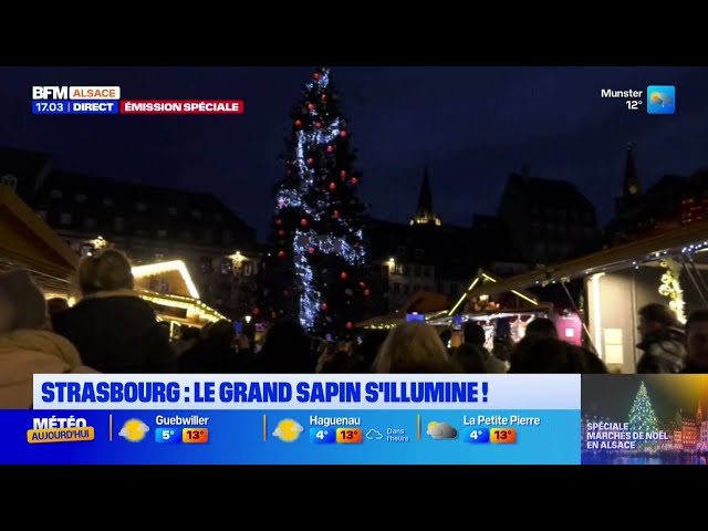 ⁣Suivez l'illumination du grand sapin de Noël du marché de Strasbourg