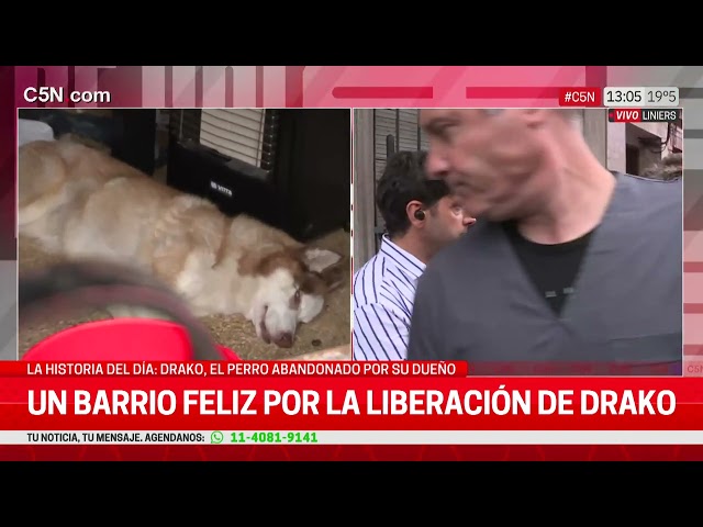 ⁣RESCATARON a DRAKO, el PERRO ABANDONADO por su DUEÑO