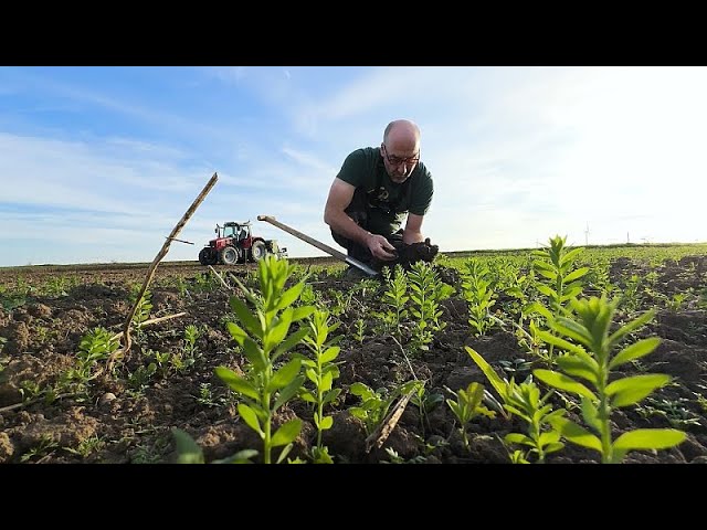 ⁣Do organic farmers still have a chance in Europe?