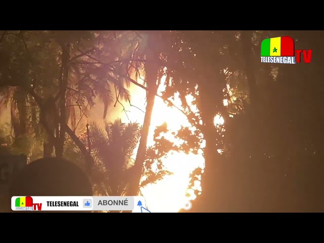 ⁣URGENT  Grosse Incendie à Douta Seck ! (VIDÉO)