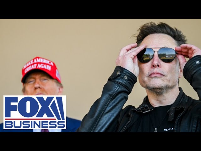 ⁣'IT'S JUST THE BEGINNING': Democrats rage against Elon Musk continues