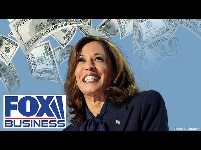 ⁣Dem donor goes off on Kamala Harris campaign’s ‘Mad Max’-like spending