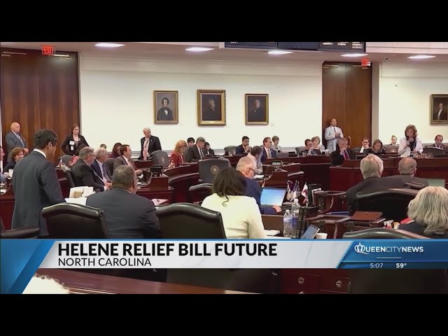 ⁣Western NC state rep explains why he is against Helene relief bill