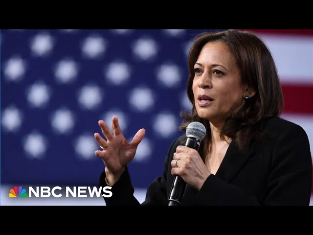 ⁣Harris’ break with Biden ‘could have been better honed’: fmr. Democratic senator